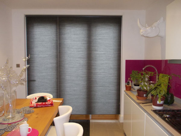 two duette blinds side by side